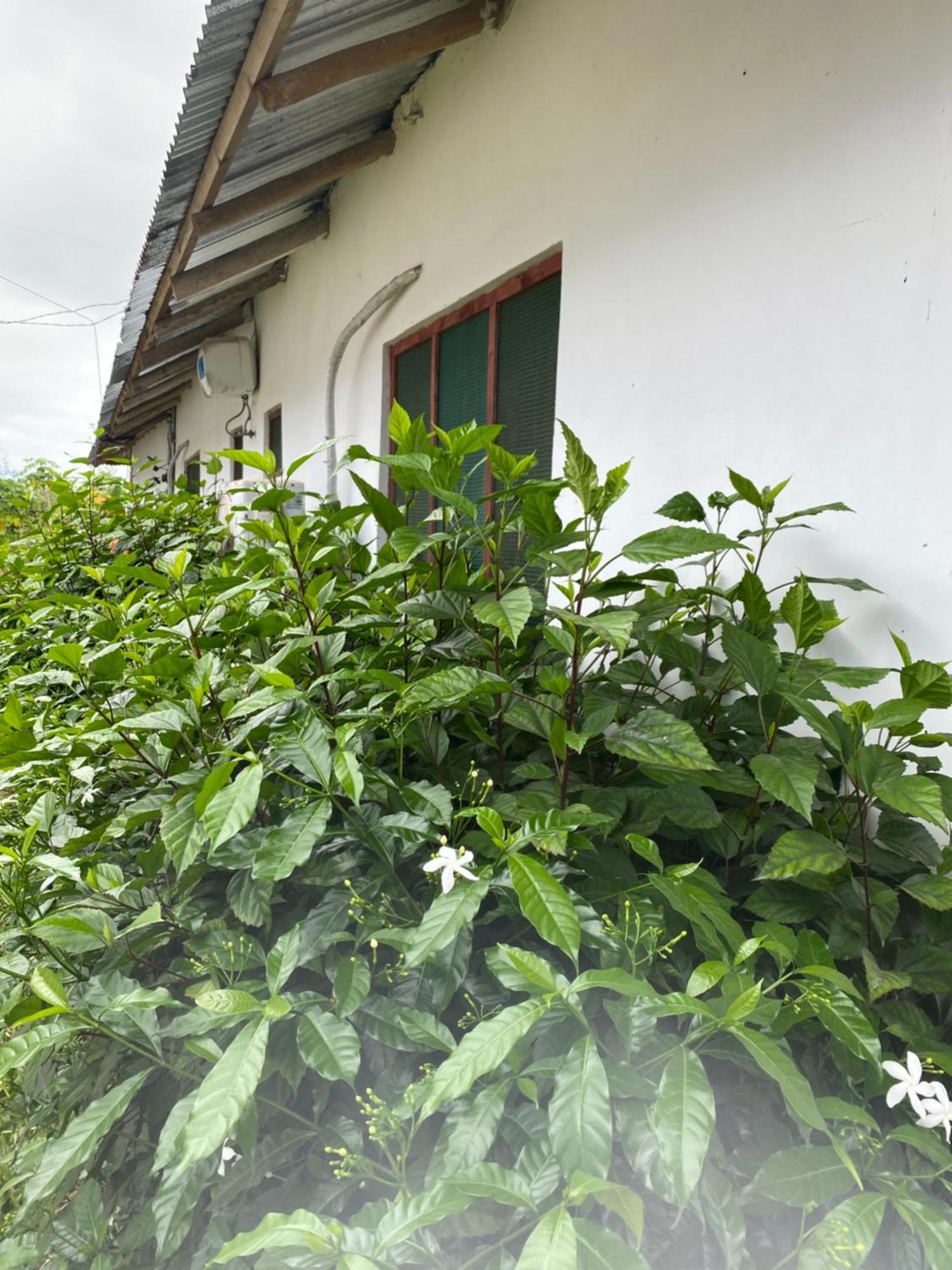 Falcon House Kendwa Bed & Breakfast Екстериор снимка