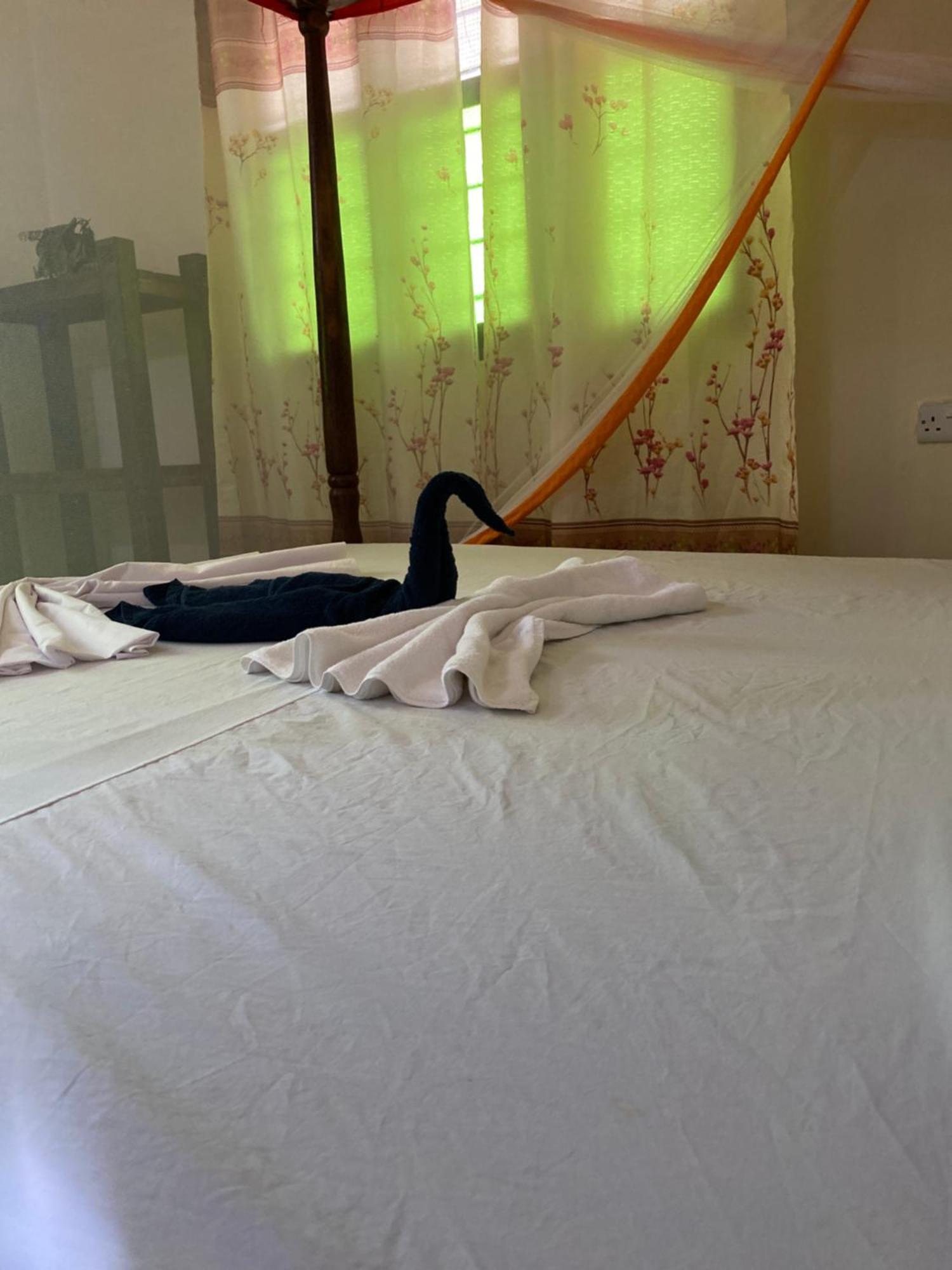 Falcon House Kendwa Bed & Breakfast Екстериор снимка
